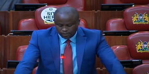 Kenya's Budget and Appropriations Committee Chairperson Kanini Kega speaking in Parliament on December 3, 2020.