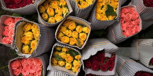 Packed flowers