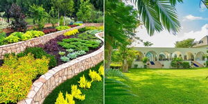 Photo collage of plants in a home garden and a property well landscaped