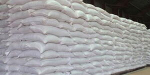 Undated image of maize stored in a warehouse
