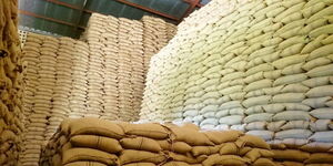 Bags of maize at an NCPB depot.