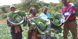 Makueni residents showcasing cabbages grown through the Zangule ya Matangi (Merry go rounds for Water Tanks) project.