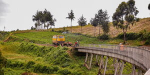 The Nakuru - Kisumu Railway Line has the largest number of viaducts in the entire MGR network. 