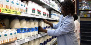 Various milk brands on the shelves of a Nairobi supermarket