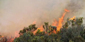 Fire burning part of Mt Kenya Forest as firefighters try to extinguish it on Wednesday March 23, 2022