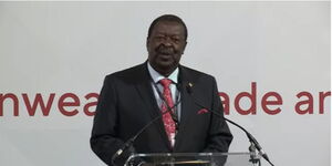 Prime Cabinet Secretary Musalia Mudavadi