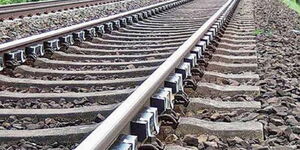 A file photo of the Meter Gauge Railway