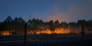 A photo of Northlands property along the Eastern Bypass of Fire on March 27, 2023.