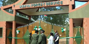 Officers outside the Kenya Forest Service (KFS) gate when it was opened in 2011