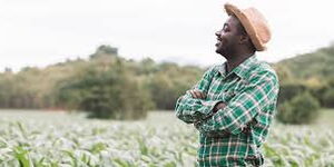 Undated Photo of A Happy Farmer Inspecting His Farm