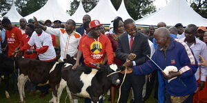Presidential aspirant Mwangi Wa Iria hands a cow to a local in December 2016.