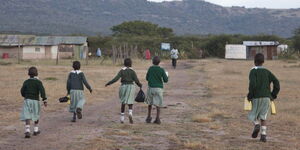 Primary school students going to school