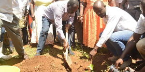 Raila tree planting