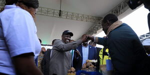 President William Ruto (in black cap) interacts with traders at the Green Park Terminus during the launch of the Hustlers Fund on November 30, 2022. 