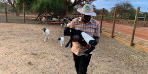 An image of DP Ruto