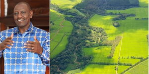 Photo collage of President William Ruto speaking and a large tract of land