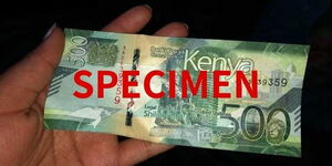 The ksh500 currency note.