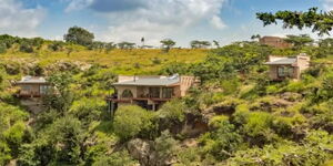 Scattered lodges at Champagne Ridge in Kajiado County