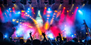 Silhouttes of revellers at a concert.