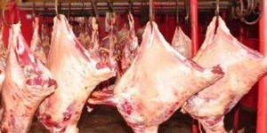 Slaughtered livestock in an abattoir in Nairobi.
