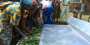 Women drying vegetables with a solar drier on October 1, 2018.