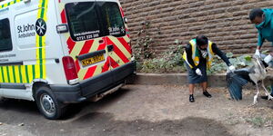 St John Ambulance paramedics Sakina and James (Right) tending to an injured marabou stork on June 28, 2021.