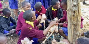 Students participate in a chicken-preparation practical under CBC