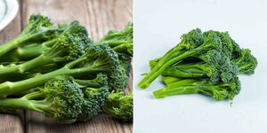 Photo collage of harvested tender stem broccoli 