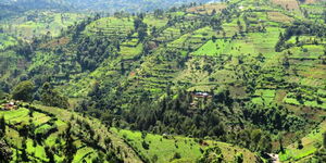 The area where Arror Dam is to be constructed in Elgeyo Marakwet County.
