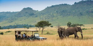 Tourists watching elephants at the Masai Mara in Kenya.