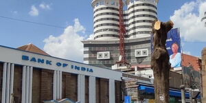 An image showing a tree pruned in Nairobi CBD on September 23, 2022