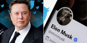 Twitter billionaire owner Elon Musk (right) and his verified account.