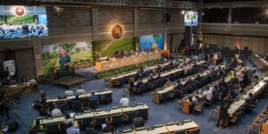UN Environment Assembly concludes with 14 resolutions to curb pollution, protect and restore nature worldwide