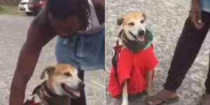 The Mombasa man and his dog performing stunts on the street.