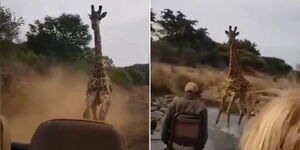 Screenshot from a video showing a giraffe chasing after tourists.