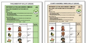 Sample Images of IEBC ballot papers released on April 5, 2019.