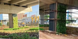 Nairobi expressway pillars covered with wall creeper plants.