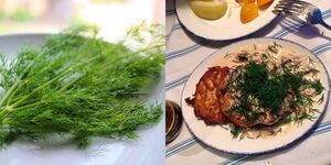 Undated Photo of Dill Herb Leaves and Once Prepared in A meal