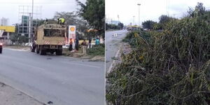 The clearing of trees along Mombasa road
