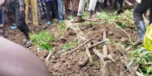 Villages cover up hole meant to lay luo musician Abenny Jachiga to rest