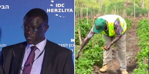A collage image of Joseph Opondo at a past conference (Left) and working at his Tangla Farm in Ugenya in Siaya County (Right).