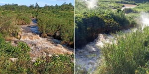 A collage image of River Yala in Siaya County.