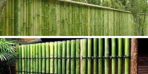 A photo collage of bamboo fencing 