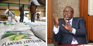 A photo collage of fertilisers being packed in a warehouse (left) and the image of the Agriculture CS Mithika Linturi(right)