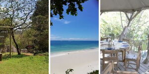 A photo collage of Paradise Lost in Kiambu County, Diani Beach in Mombasa and the Tree Trotters in Nanyuki. 
