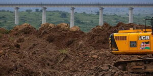 The image taken by Vishal Shikotra that sparked a storm on social media