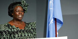 Wangari Mathai speaking at the UN, New York. September 26, 2011.