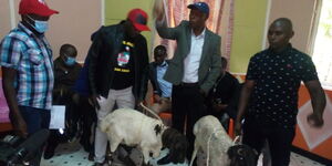 Journalists gifted sheep following a press conference by former Mungiki leader Maina Njenga