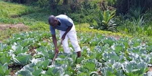 Deputy President William Ruto's look alike at an unidentified farm on Thursday, April 2, 2020