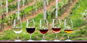 Wine served in glasses at a winery
